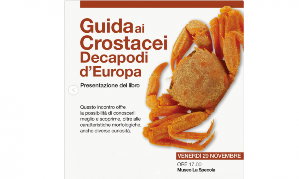 Scopri i crostacei decapodi alla Specola!