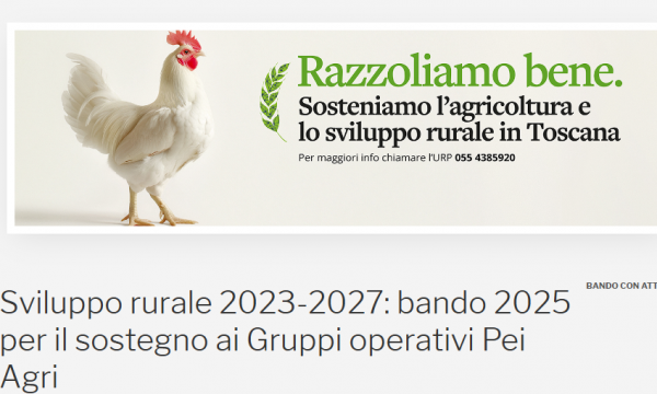 BANDO FEASR 2023- 2027 .